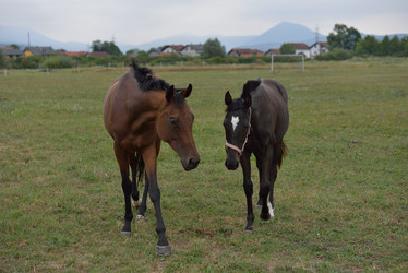 Similar image 5517267