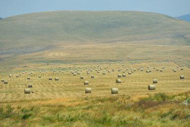 Similar image 5517281