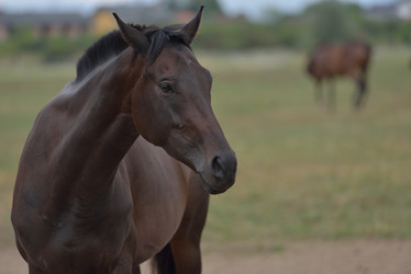 Similar image 5517284