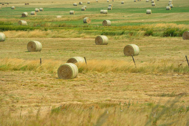 Similar image 5517293