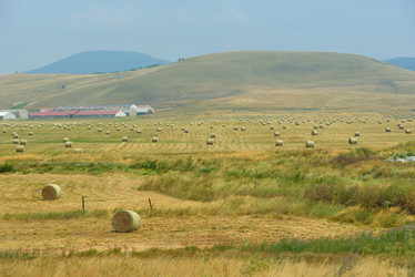 Similar image 5517299