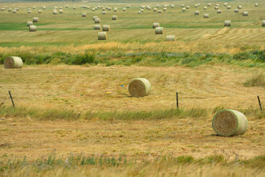 Similar image 5517305