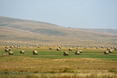 Similar image 5517315