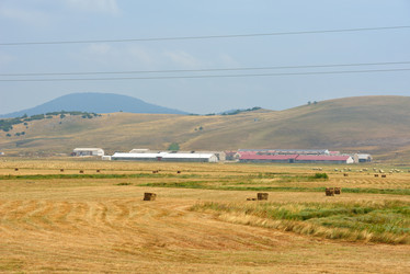 Similar image 5517323