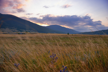 Similar image 5517656