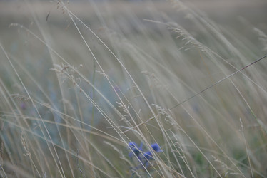 Similar image 5517658