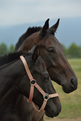 Similar image 5517715