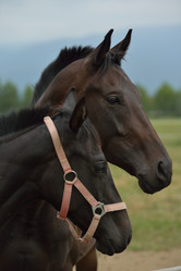 Similar image 5517716