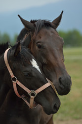 Similar image 5517776