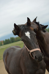 Similar image 5517781