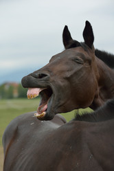 Similar image 5517795