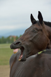 Similar image 5517796