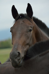 Similar image 5517806