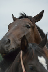 Similar image 5517816