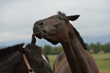 Similar image 5517821