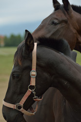 Similar image 5517822