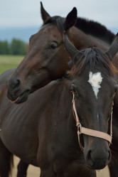 Similar image 5517823