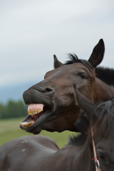 Similar image 5517826