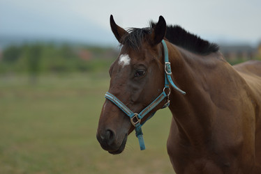 Similar image 5517843