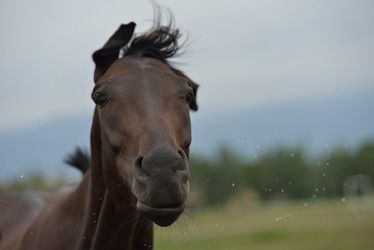 Similar image 5517848