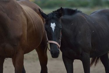 Similar image 5517851