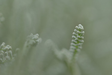 Similar image 5517889