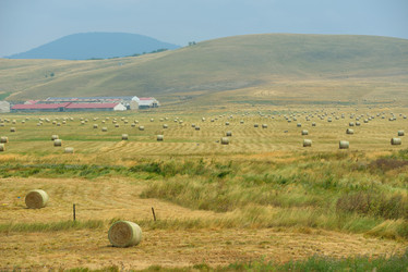 Similar image 5517895