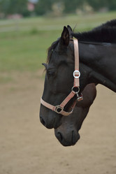 Similar image 5517944