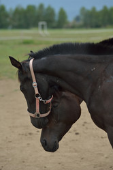 Similar image 5517945