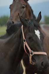 Similar image 5517946