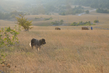 Similar image 5517957