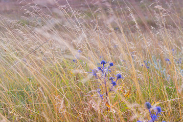 Similar image 5517968