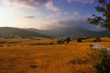 Similar image 5517985