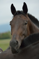 Similar image 5517990