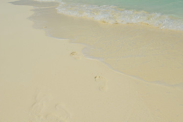 Similar image 5518269