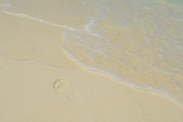 Similar image 5518271