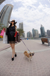 Similar image 5518512