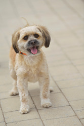 Similar image 5518628