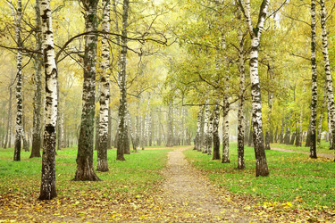 Similar image 5518713