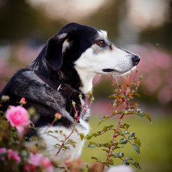 Similar image 5518739