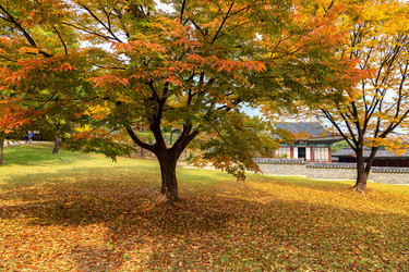 Similar image 5518760