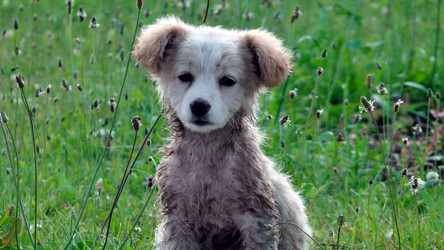 Similar image 5518766