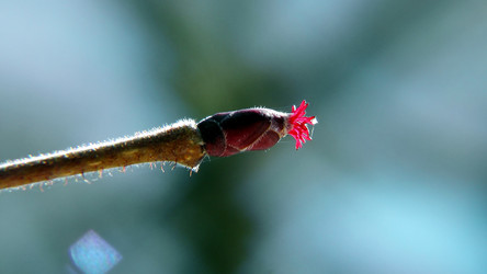 Similar image 5518767