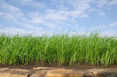 Similar image 5518774