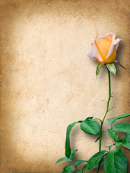 Similar image 5518797