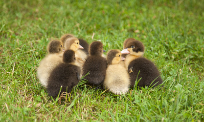 Similar image 5518798