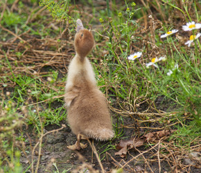 Similar image 5518800