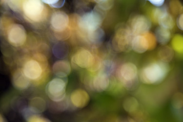 Similar image 5518801