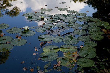 Similar image 5518913