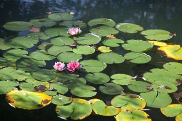 Similar image 5518914